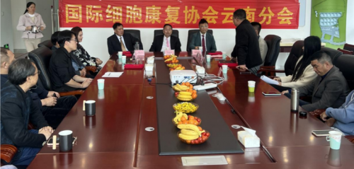 A New Era Dawns for Cell Medicine: Industry Poised for Trillion-Yuan Valuation